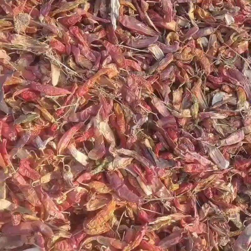 板椒花皮，打粉利器。量大质优。干度9成。有需要的客户联系