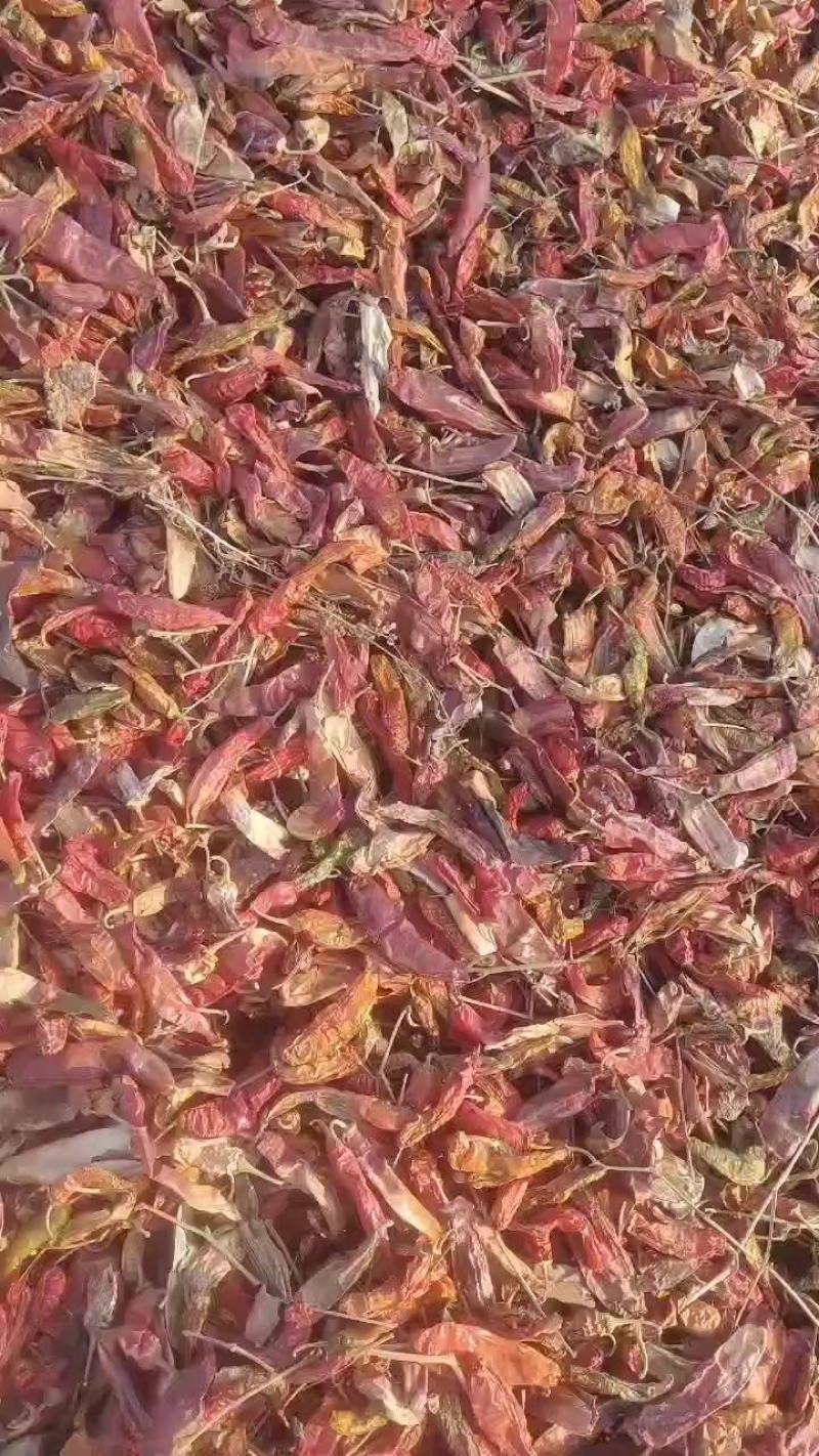 板椒花皮，打粉利器。量大质优。干度9成。有需要的客户联系
