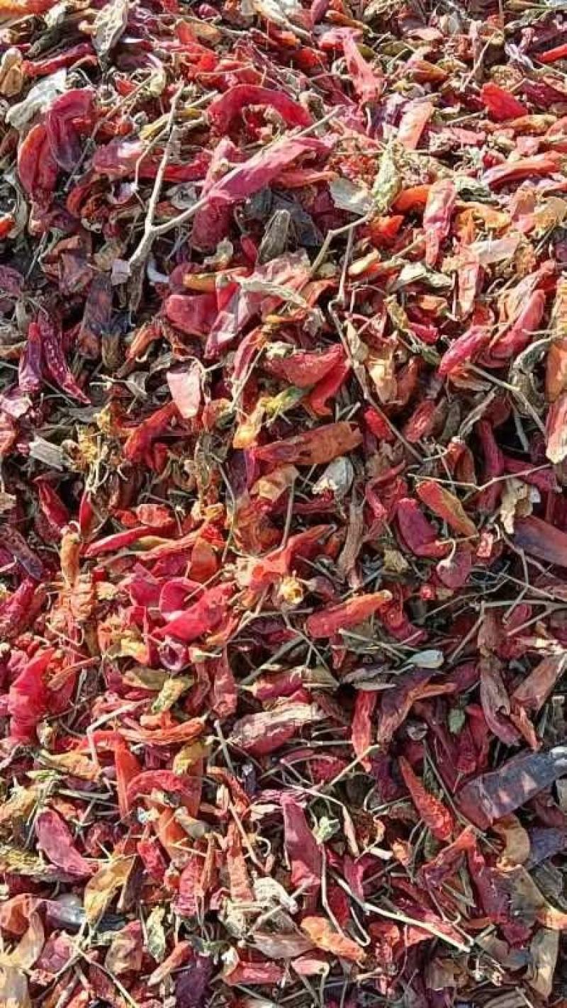 板椒花皮，打粉利器。量大质优。干度9成。有需要的客户联系