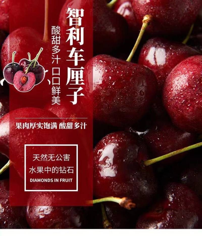 智利车厘子/一件代发/淘宝/拼多/京东/直播/全平台对接
