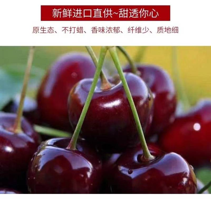 智利车厘子一件代发/淘宝/拼多多/京东/直播/全平台对接