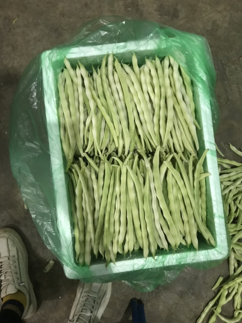 九粒白，白优一大量上市有需要的诚信联系