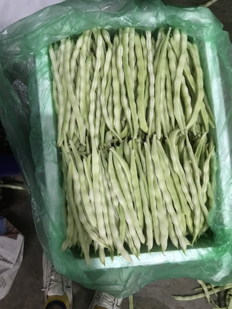 九粒白，白优一大量上市有需要的诚信联系