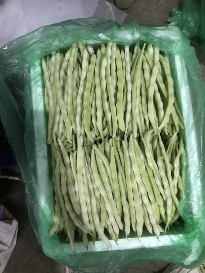 九粒白，白优一大量上市有需要的诚信联系