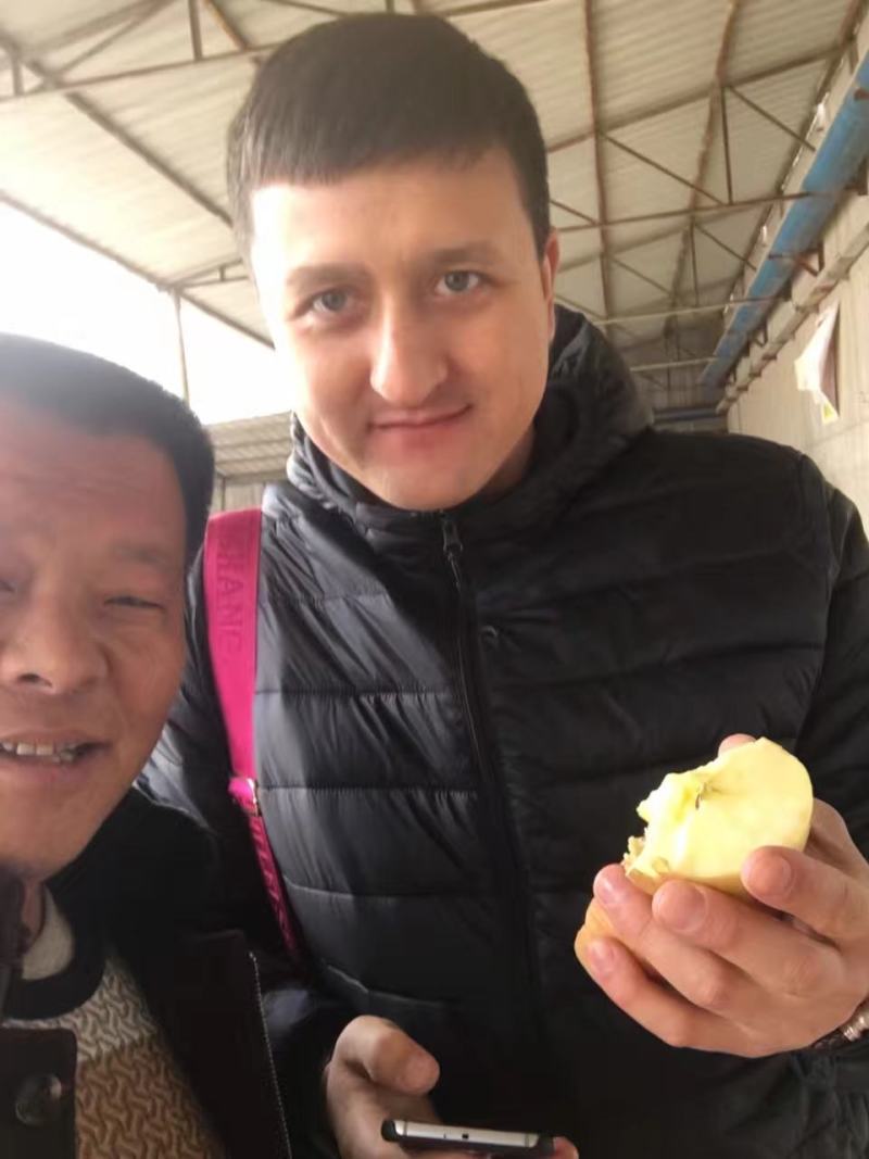 冰糖心苹果，红富士苹果，瑞雪苹果，瑞香红苹果水晶红富士
