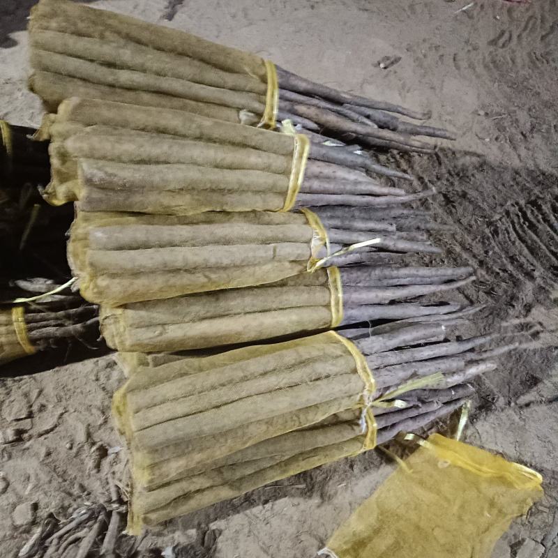大名县精品网贷山药