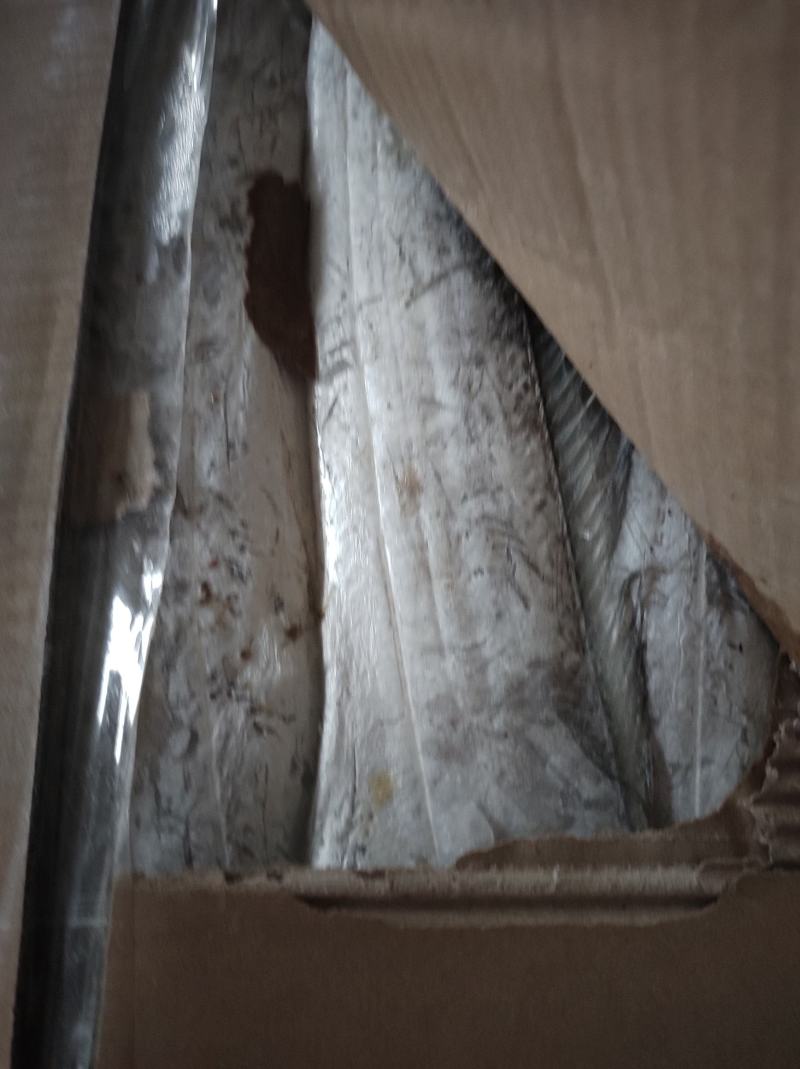 船冻带鱼质量好价格优大量批发，一手货源，供货稳定