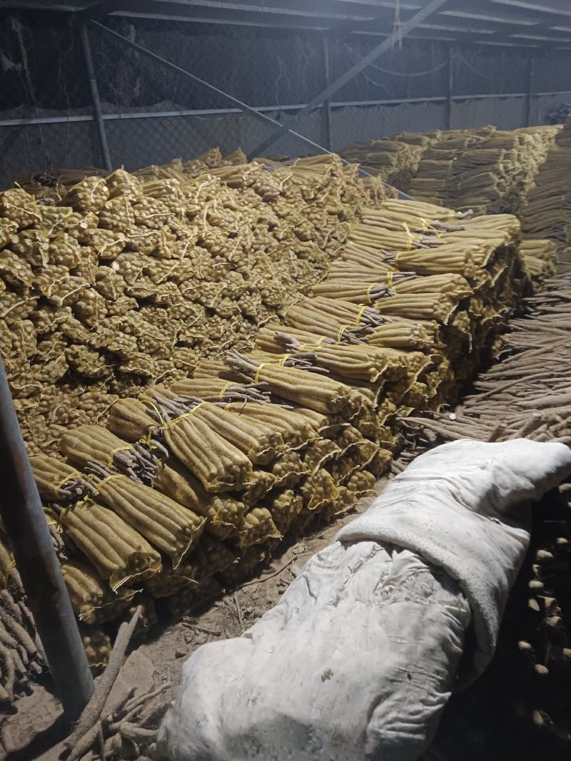 大名县精品网贷山药