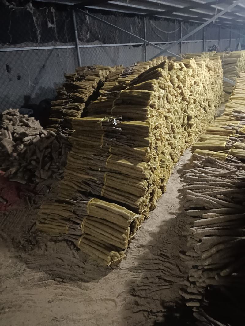 大名县精品网贷山药