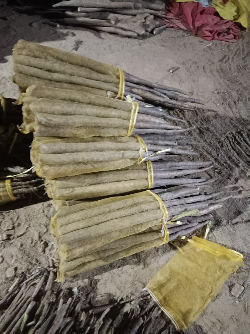 大名县精品网贷山药