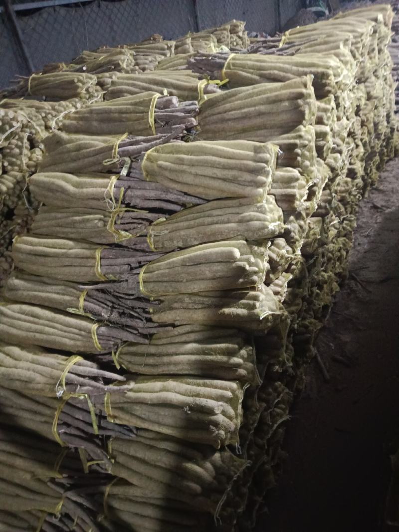 大名县精品网贷山药