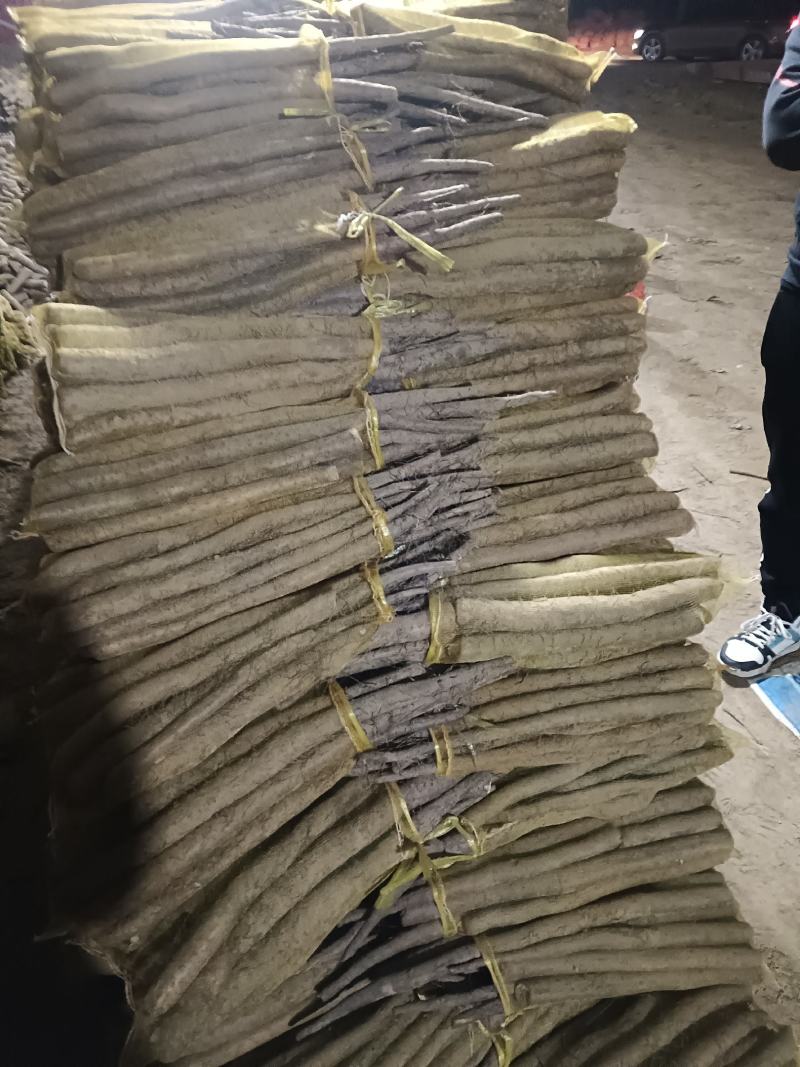 大名县精品网贷山药