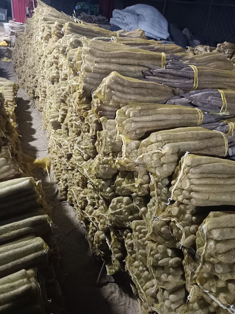 大名县精品网贷山药