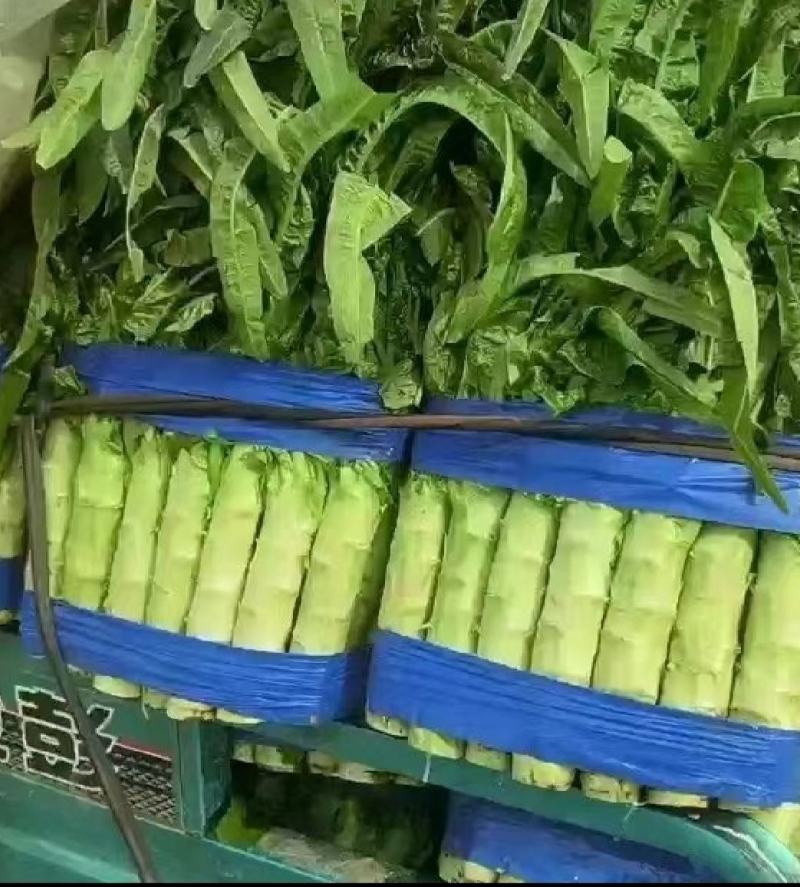 精品莴笋，大量有货，价格便宜