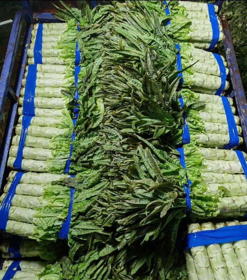 精品莴笋，大量有货，价格便宜