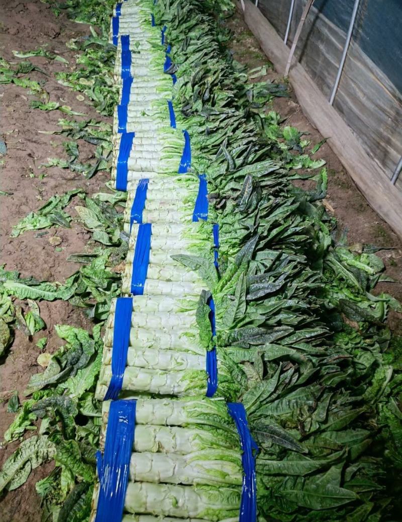 精品莴笋，大量有货，价格便宜
