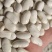 山西芸豆晋北白芸豆红黑豆山西小杂粮价格便宜欢迎咨询