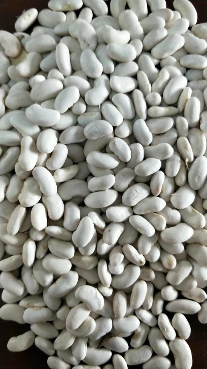 山西芸豆晋北白芸豆红黑豆山西小杂粮价格便宜欢迎咨询