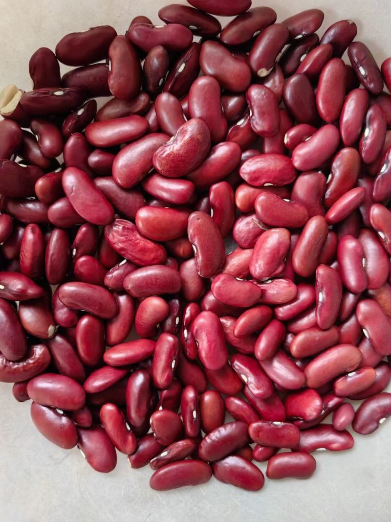 山西芸豆晋北白芸豆红黑豆山西小杂粮价格便宜欢迎咨询