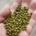 山西芸豆晋北白芸豆红黑豆山西小杂粮价格便宜欢迎咨询