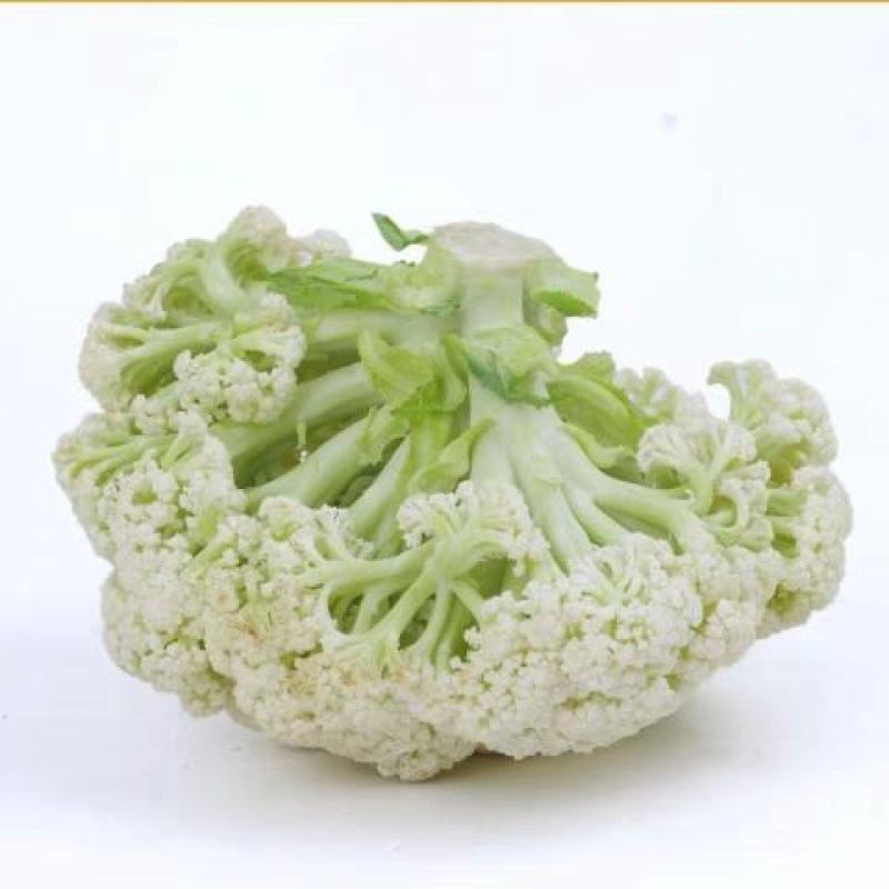 有机花菜，散花，花菜，机地直供，一条龙服务