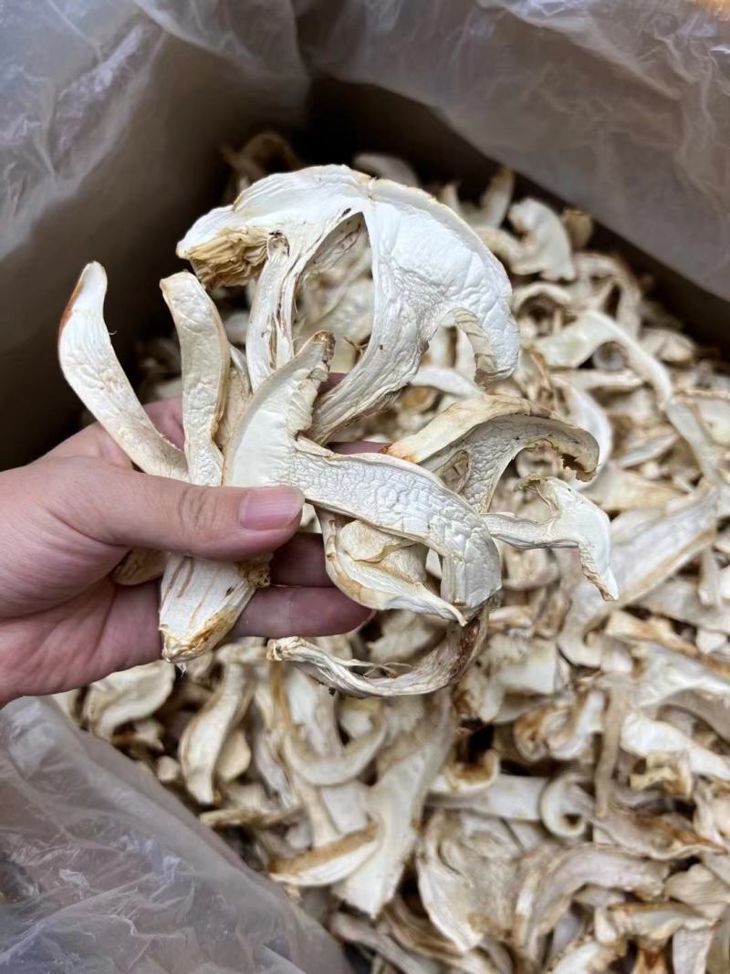 野生松茸片香格里拉雪山松茸滋补干货野生菌土特产视频看货