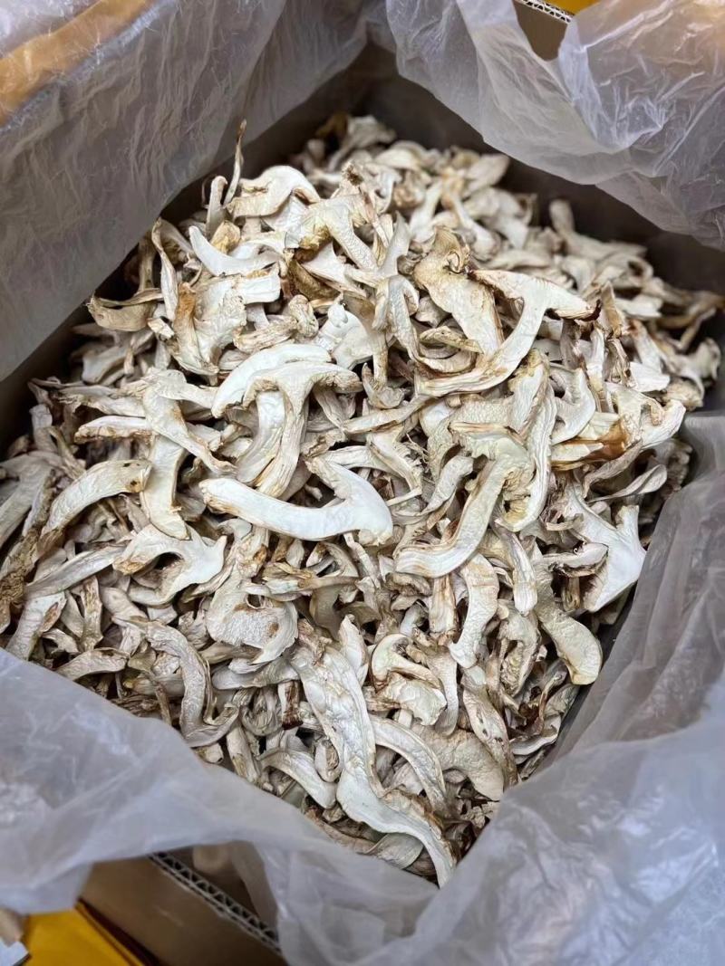 野生松茸片香格里拉雪山松茸滋补干货野生菌土特产视频看货