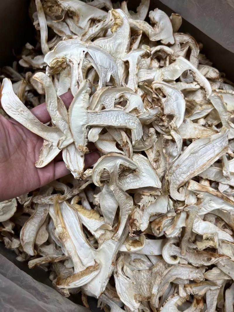 野生松茸片香格里拉雪山松茸滋补干货野生菌土特产视频看货