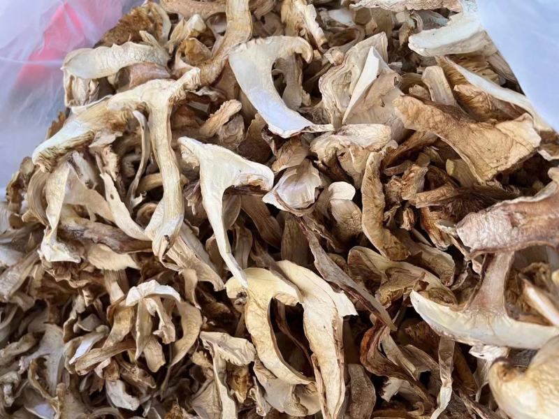 野生松茸片香格里拉雪山松茸滋补干货野生菌土特产视频看货
