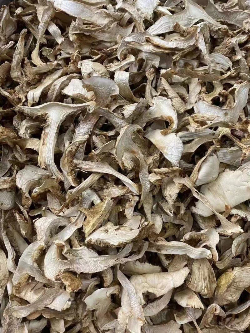 野生松茸片香格里拉雪山松茸滋补干货野生菌土特产视频看货