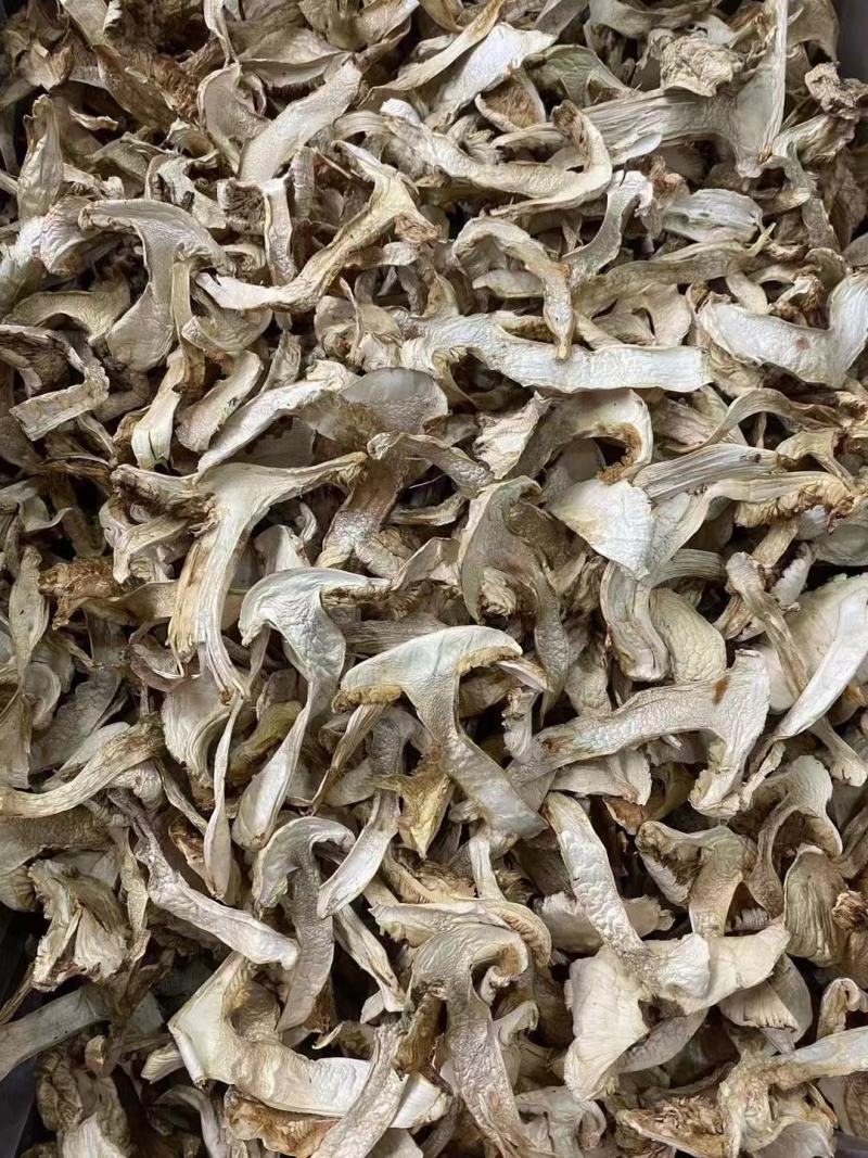 野生松茸片香格里拉雪山松茸滋补干货野生菌土特产视频看货