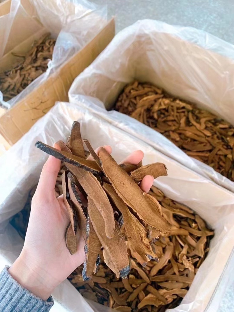 云南深山野生黑灵芝特级黑灵芝可切片