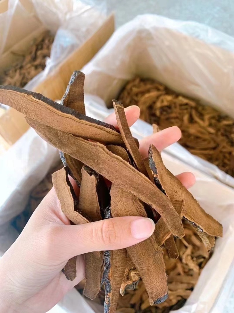 云南深山野生黑灵芝特级黑灵芝可切片