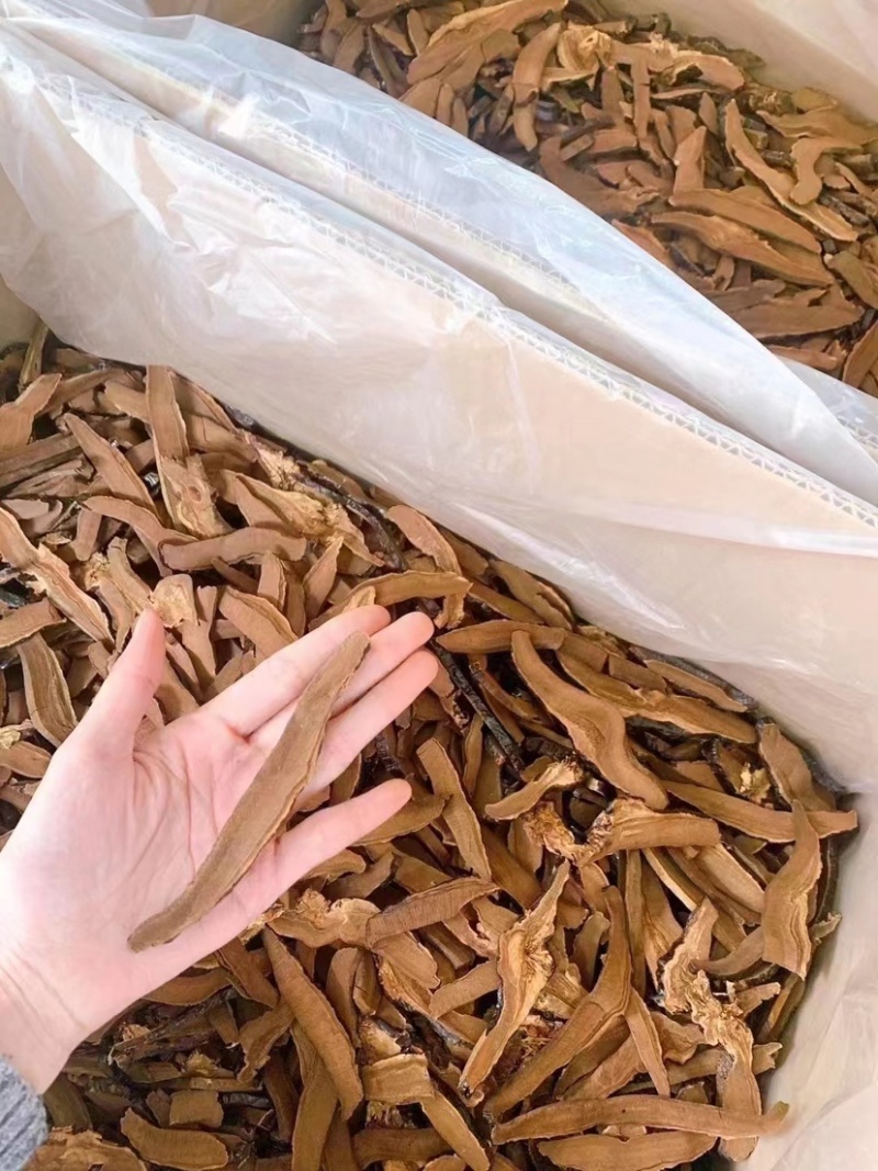 云南深山野生黑灵芝特级黑灵芝可切片