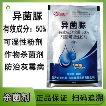 50%异菌脲灰霉病杀菌剂农药批发