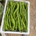 江西宁都软皮螺丝椒（中拢）新苗37/94万亩大棚种植基地
