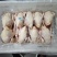 579小公鸡，可风干鸡，烧鸡，熏鸡，盐焗鸡等，工厂直发。