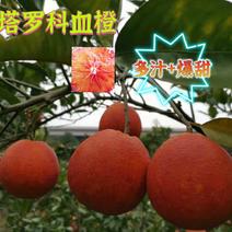 塔罗科血橙果园直供，批发团购一件全国发货欢迎来电咨询