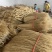 山东本地粉条红薯粉条/量大从优/诚信经营/一手货源