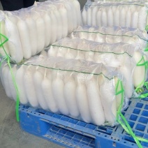 【精品白萝卜】湖北白萝卜新鲜上市，口感好，条形好
