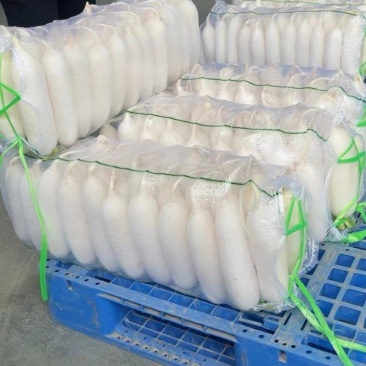 【精品白萝卜】湖北白萝卜新鲜上市，口感好，条形好