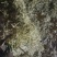 稻草秸秆，原料大包柔丝