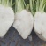 优质榨菜（大头菜）货源充足，价格美丽！欢迎订购