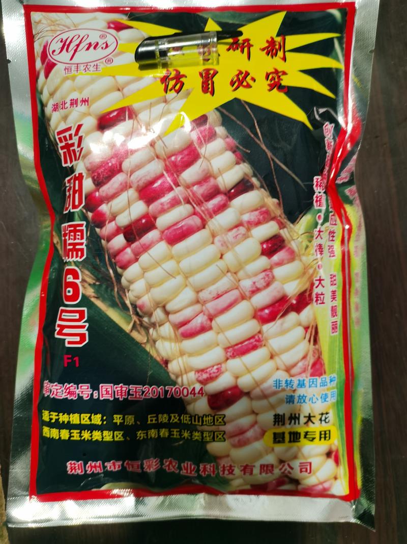 彩甜糯6号国审玉20170044彩10甜糯型大棒玉米种子