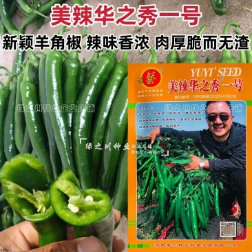 美辣华之秀一号辣椒种子羊角椒种子辣味香浓肉厚脆无渣特高产