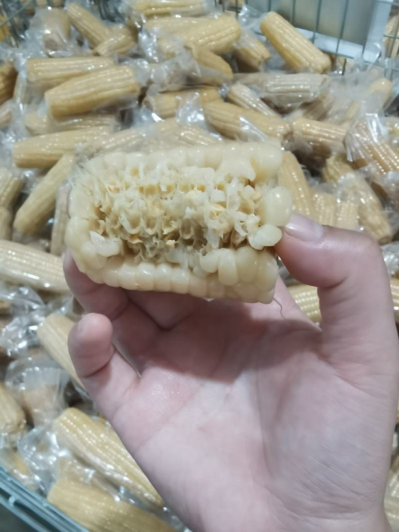 白玉米大棒