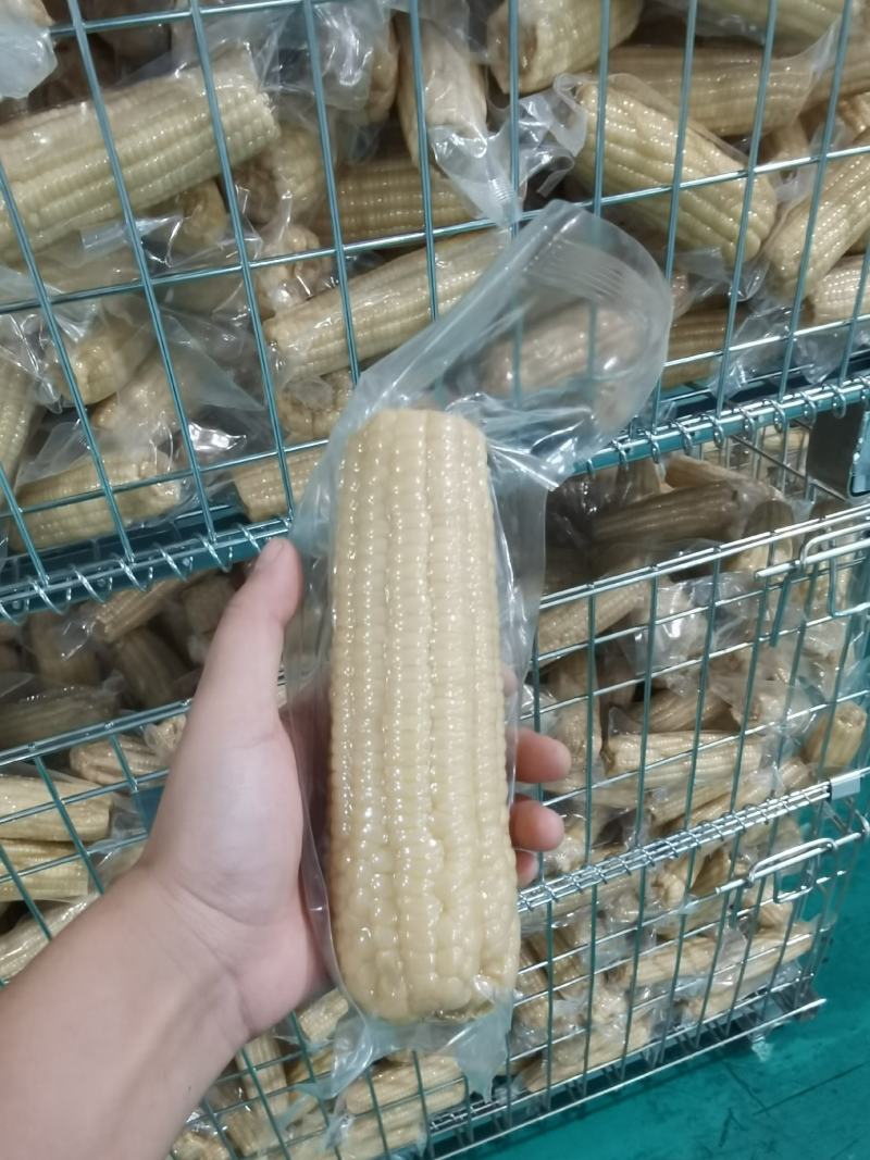 白玉米大棒
