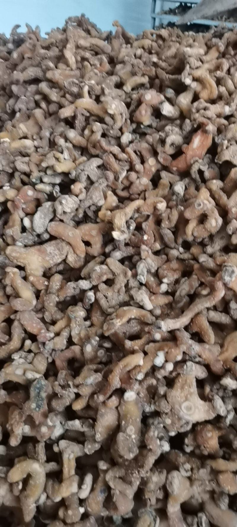 黄精干货，高杆黄精鸡头黄精，老虎姜，无硫烘干质量保证！
