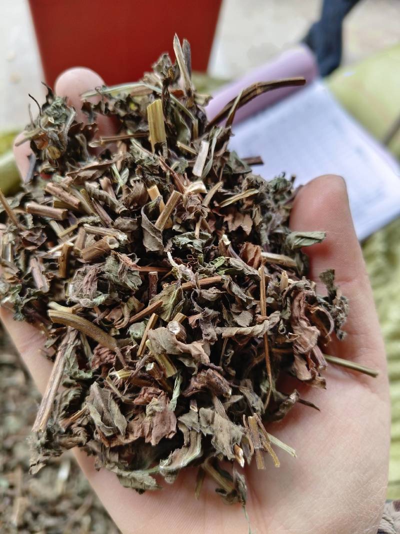 薄荷，薄荷叶，野生纯干无硫，当年新货，薄荷中草药，丹丹中
