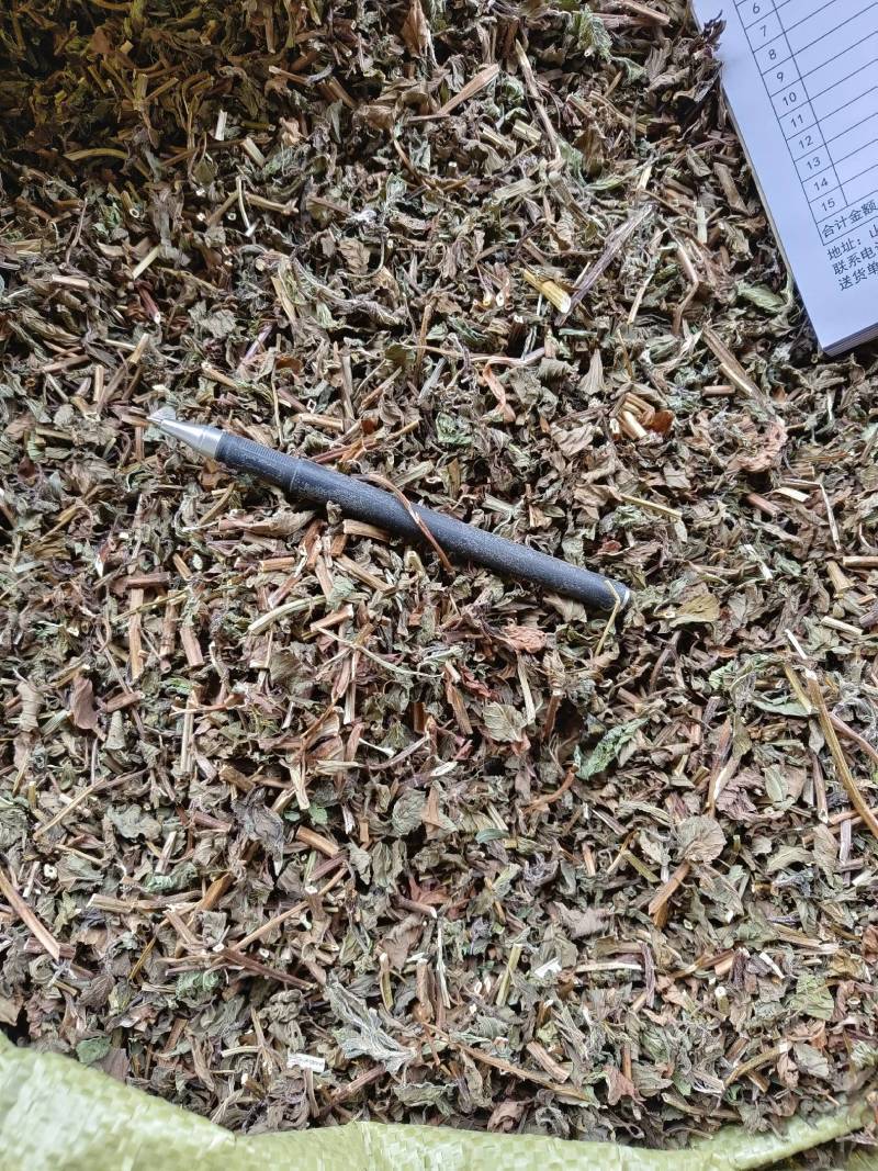 薄荷，薄荷叶，野生纯干无硫，当年新货，薄荷中草药，丹丹中